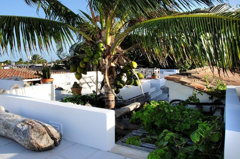 Posada Malibu Los Roques Exterior foto